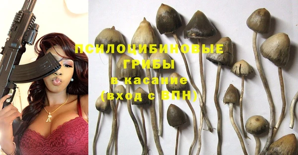 трава Кукмор